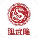 哈兰德：如果我对阵法国队没进球，肯定也会被批评